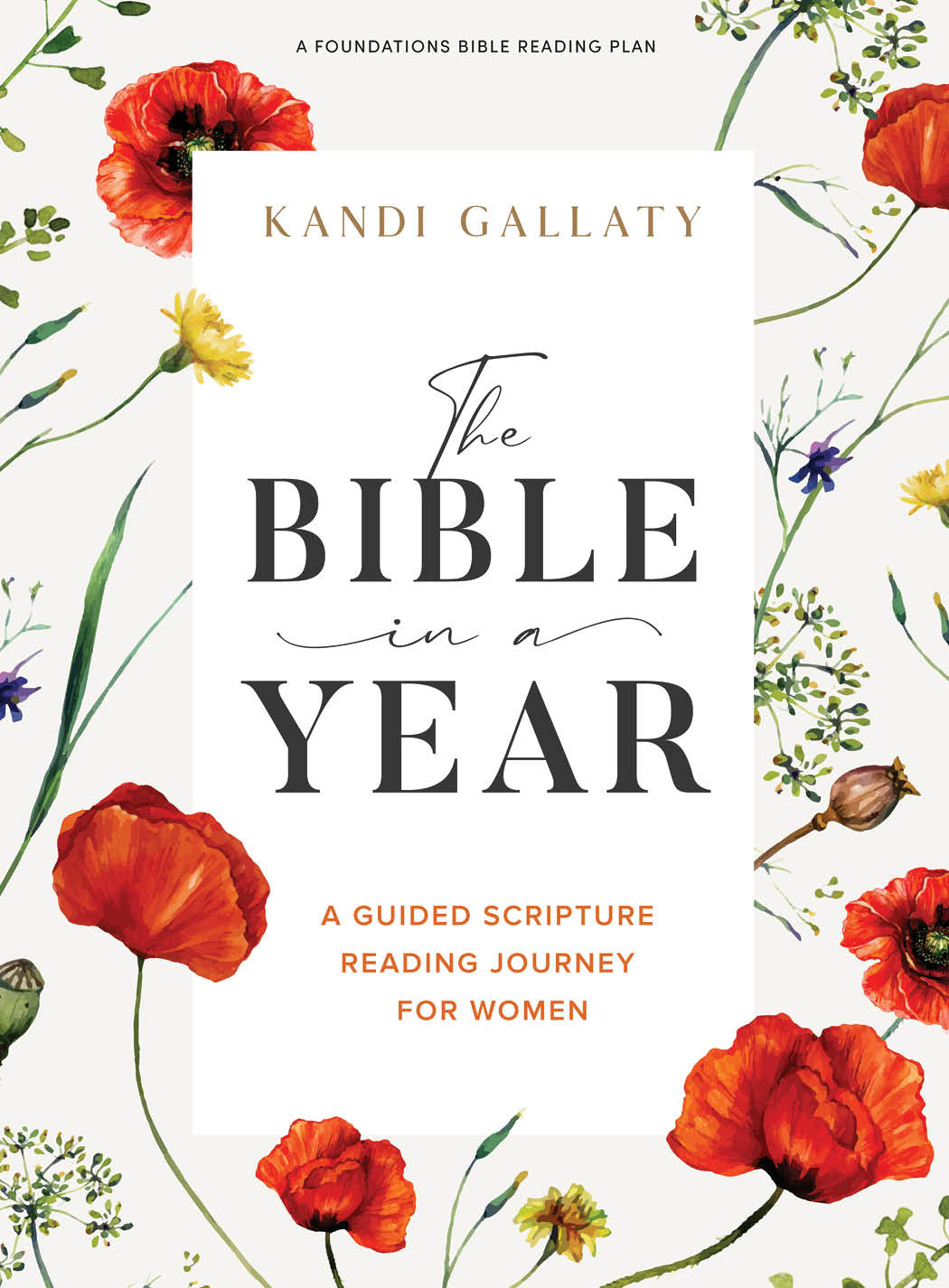 The Bible in a Year Bible Study Book - Re-vived