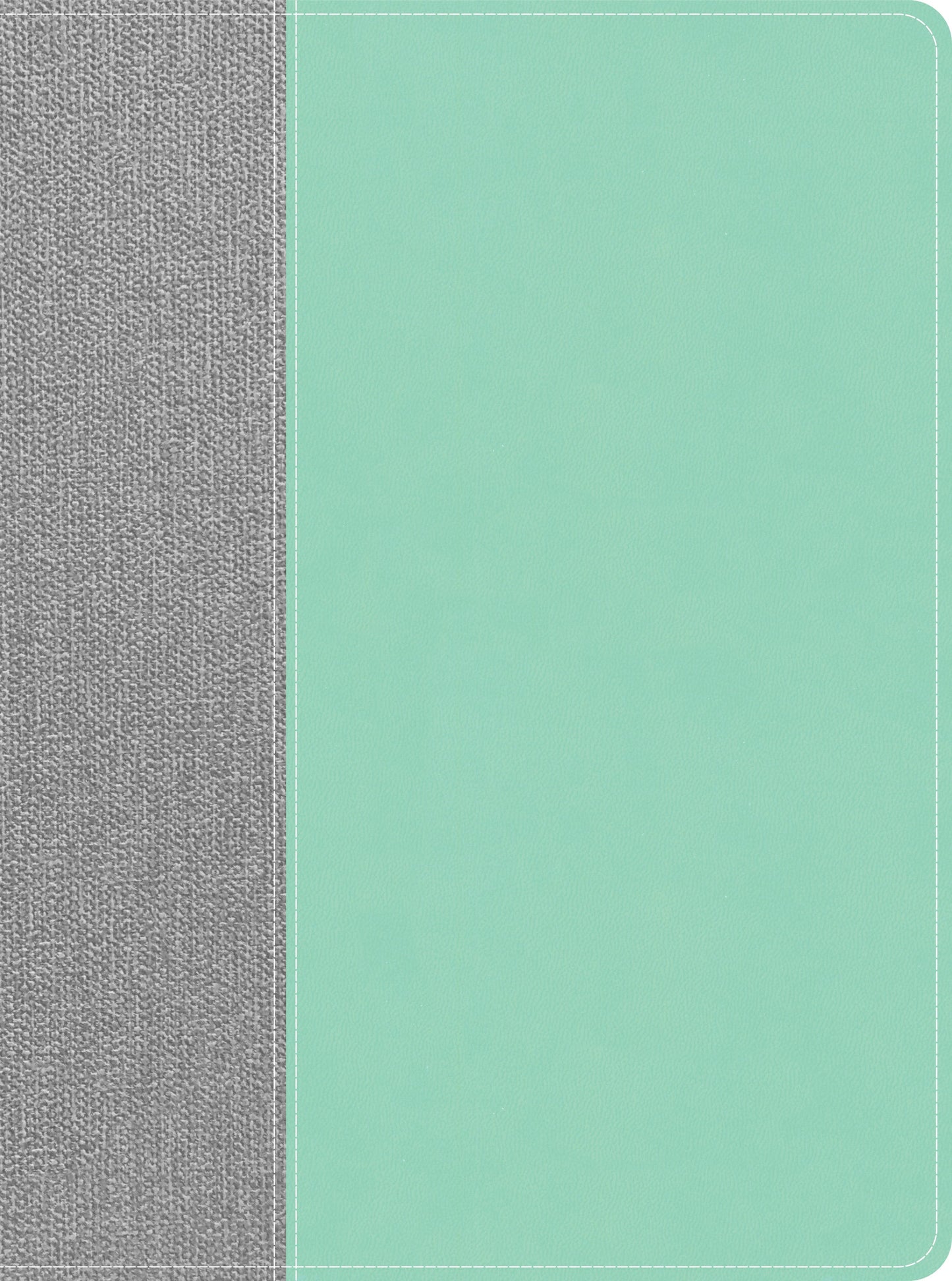 CSB Lifeway Women's Bible, Gray/Mint LeatherTouch - Re-vived