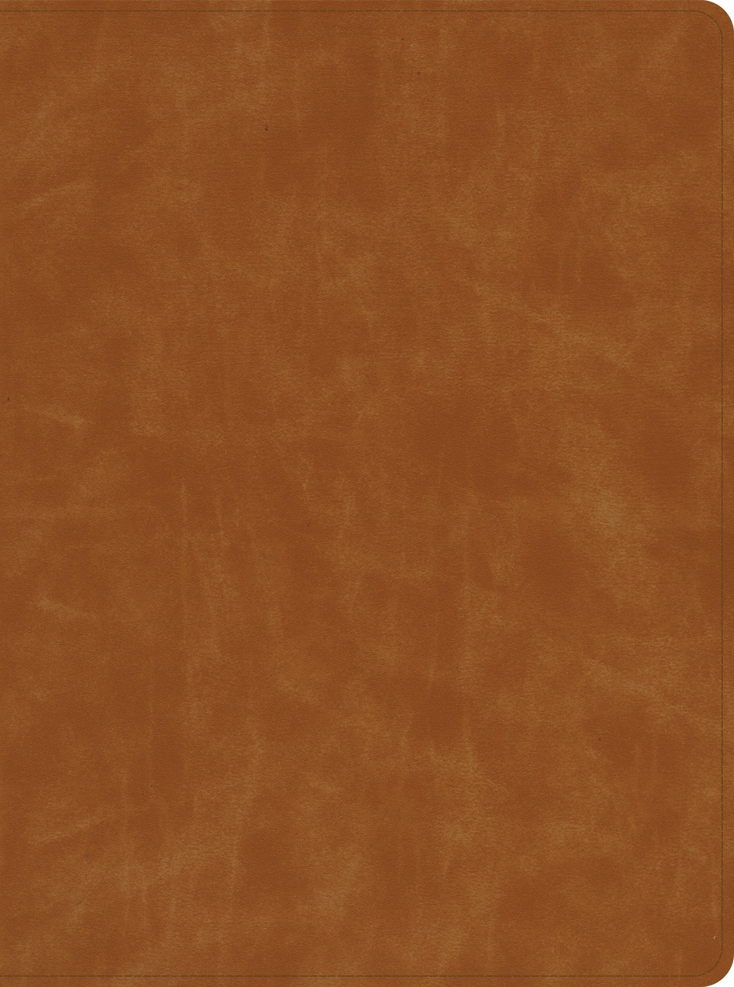CSB Lifeway Women's Bible, Butterscotch Genuine Leather - Re-vived