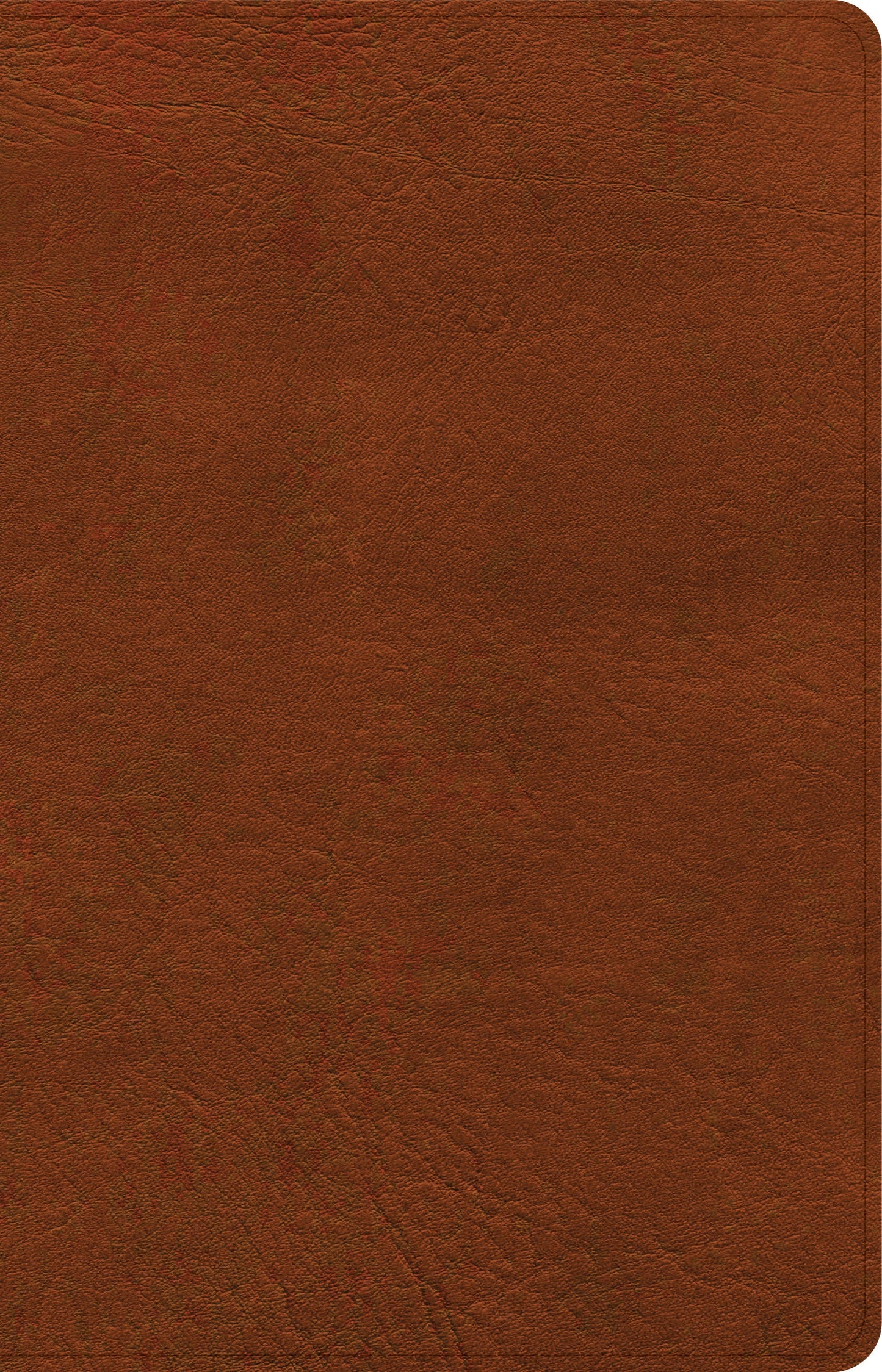 NASB Large Print Personal Size Reference Bible, Burnt Sienna, Imitation Leather - Re-vived