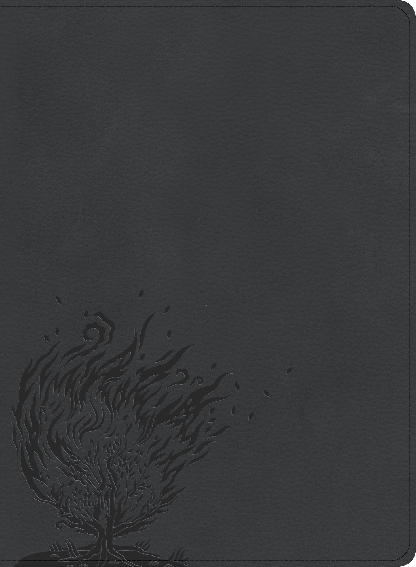 CSB Experiencing God Bible, Charcoal LeatherTouch, Indexed - Re-vived