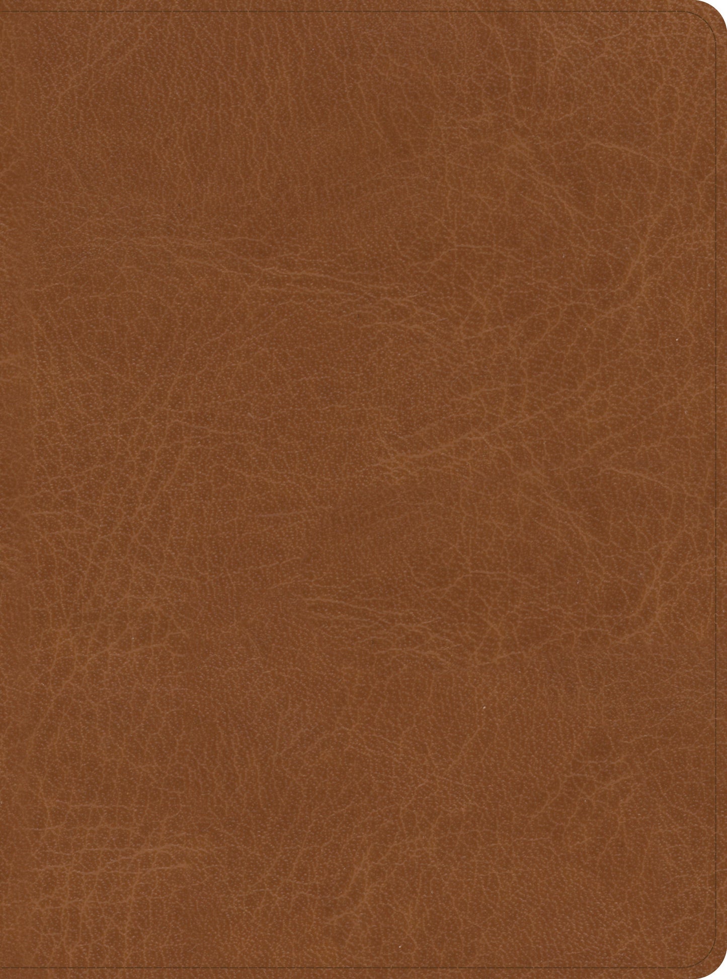 CSB He Reads Truth Bible, Saddle LeatherTouch, Indexed - Re-vived