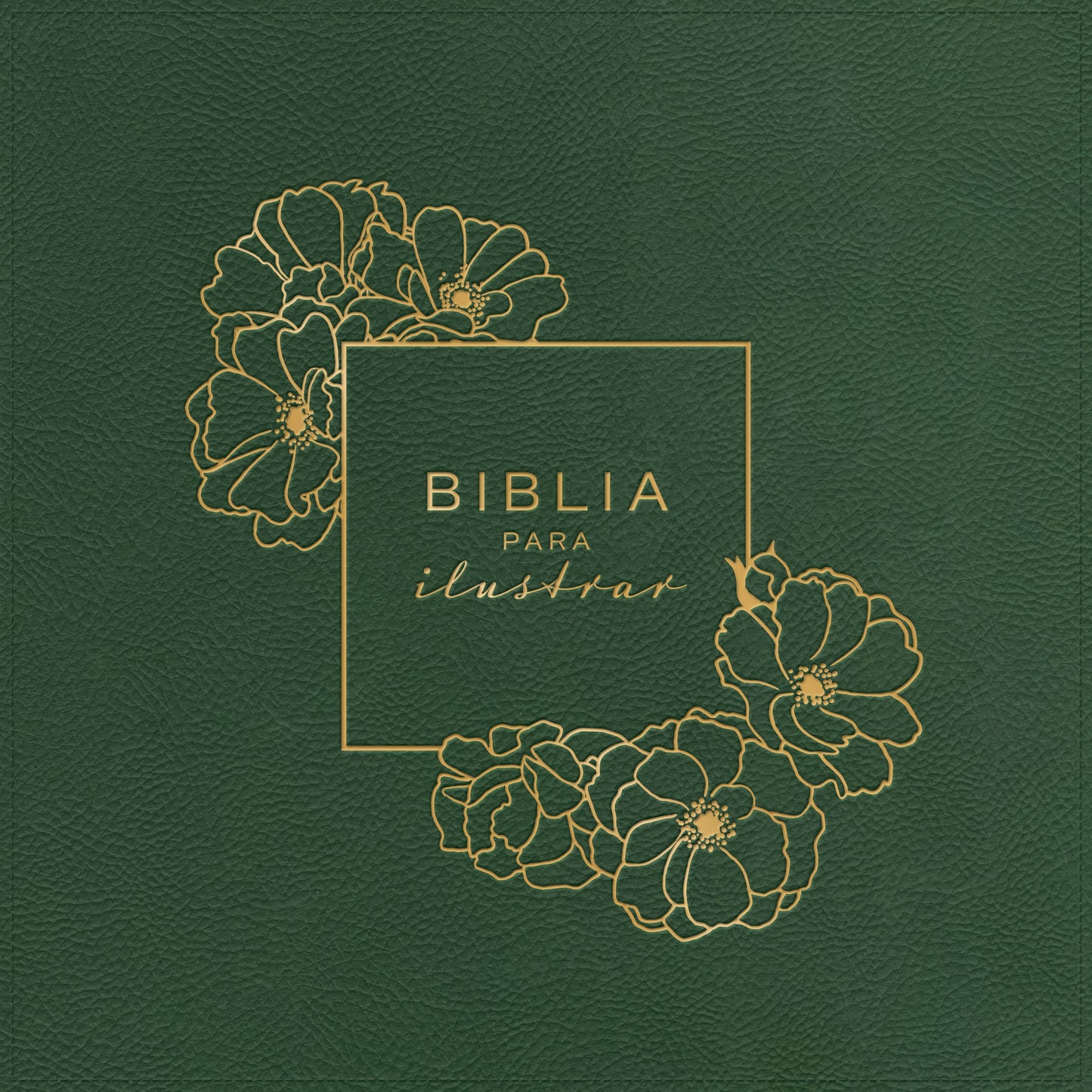 RVR 1960 Biblia Para Ilustrar, Verde Símil Piel - Re-vived