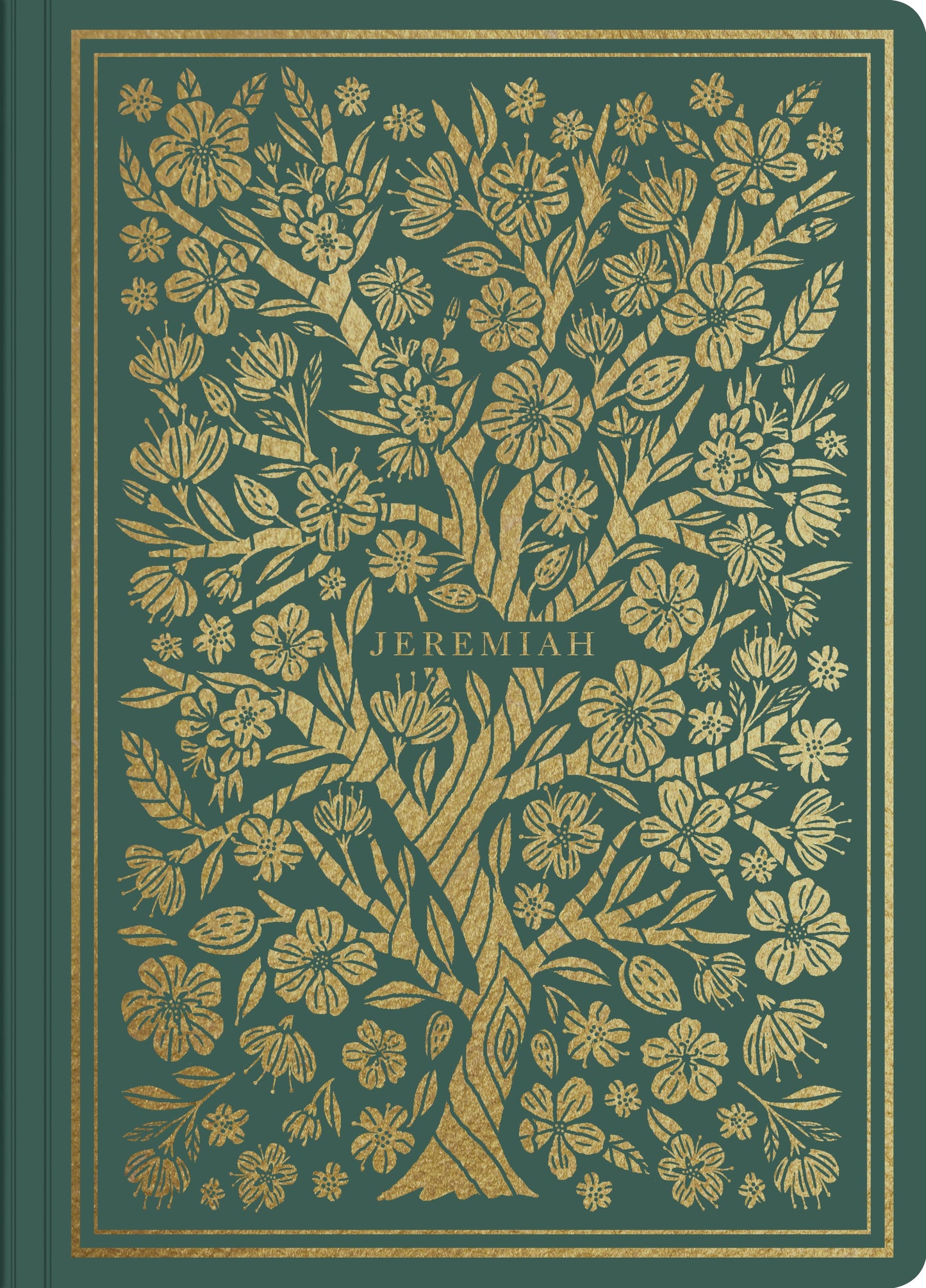 ESV Illuminated Scripture Journal: Jeremiah - Re-vived