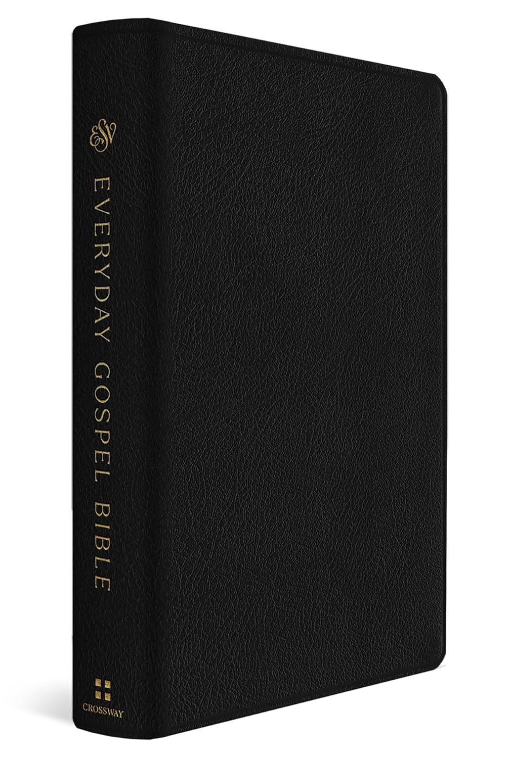 ESV Everyday Gospel Bible - Re-vived