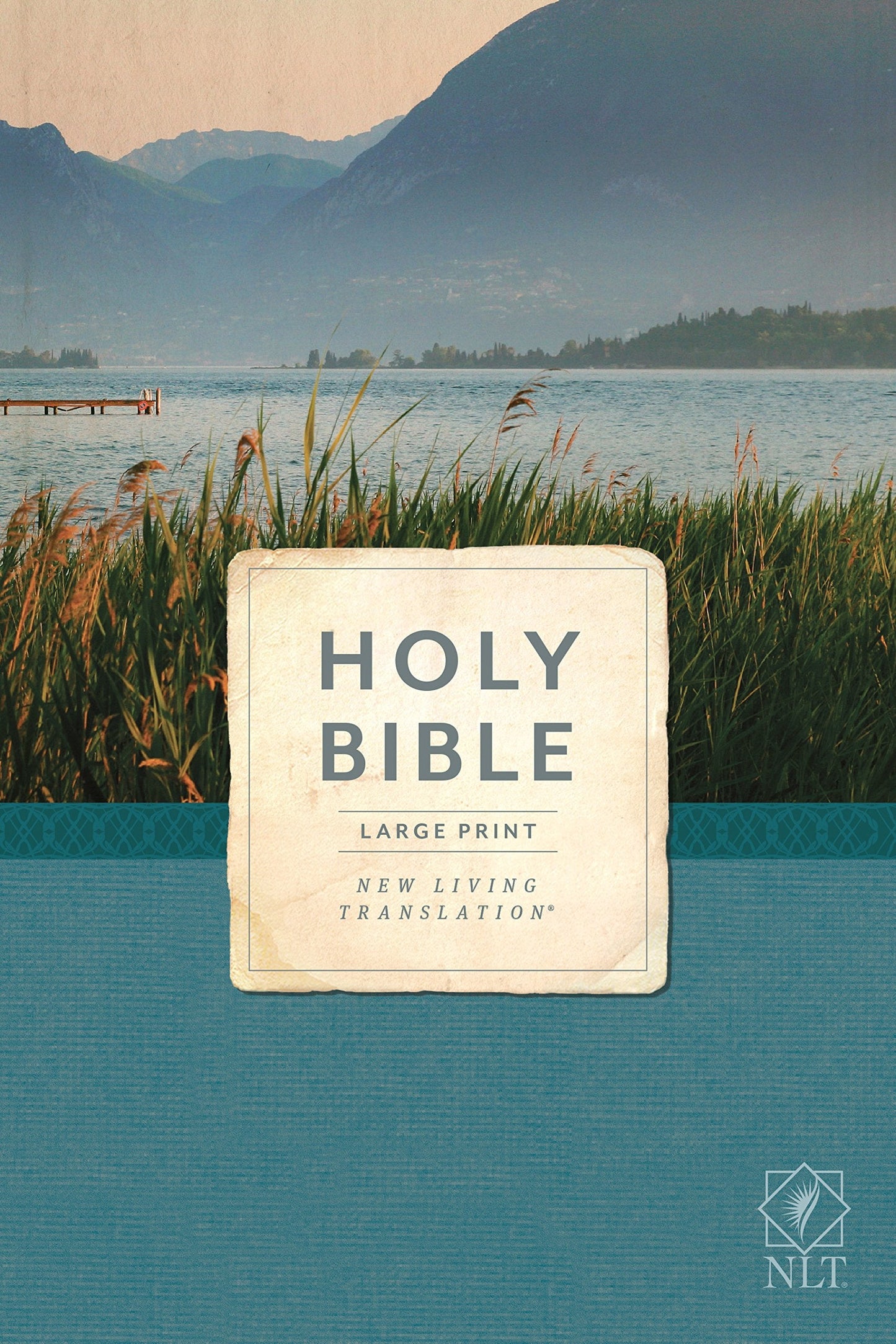 NLT Economy Outreach Bible, Large Print - Re-vived