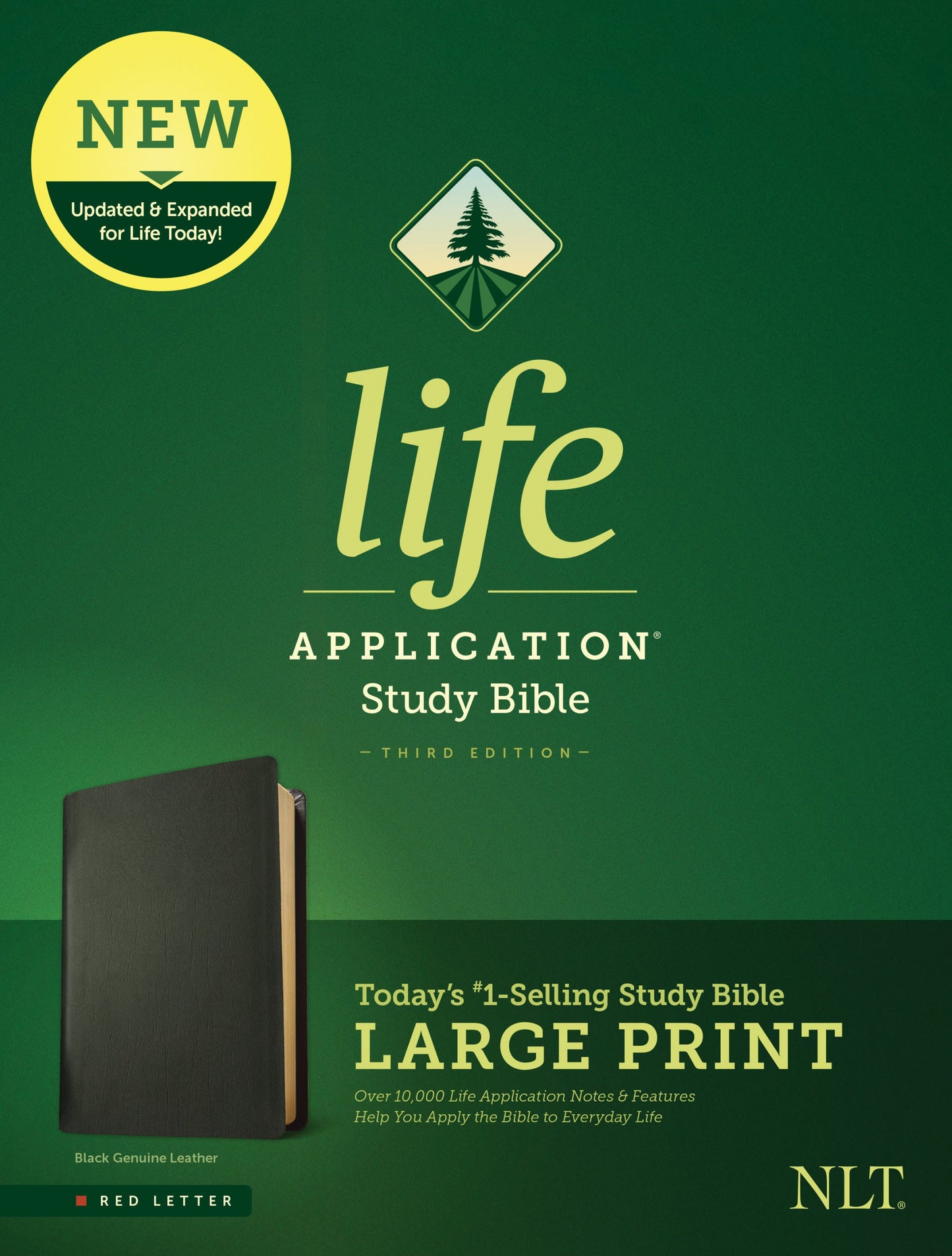 NLT Life Application Study Bible, Third Edition, Large Print - Re-vived