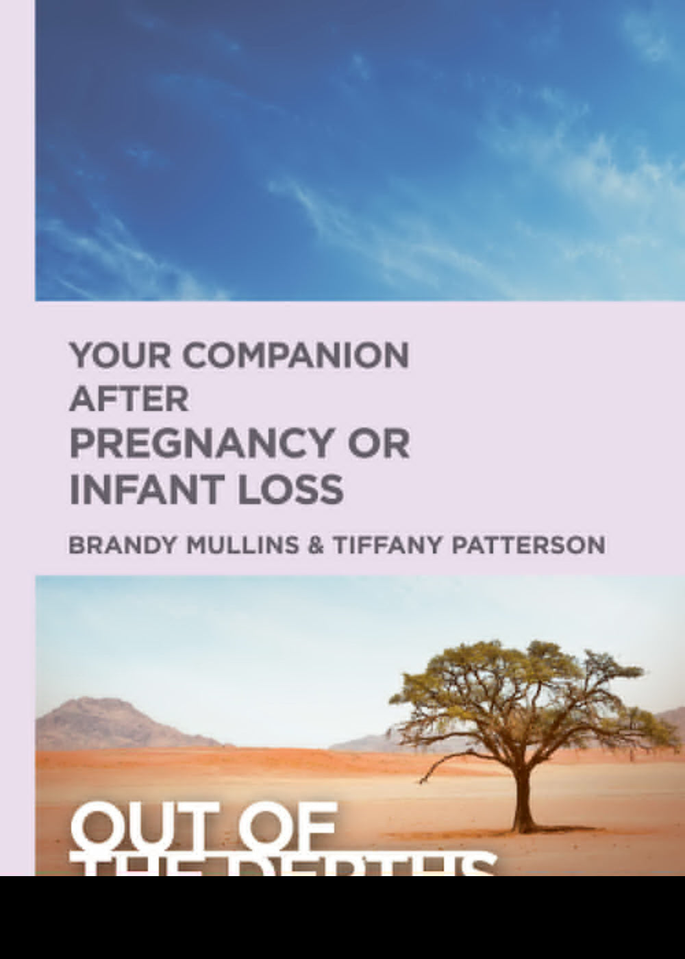 Out of the Depths: After Pregnancy Or Infant Loss - Re-vived
