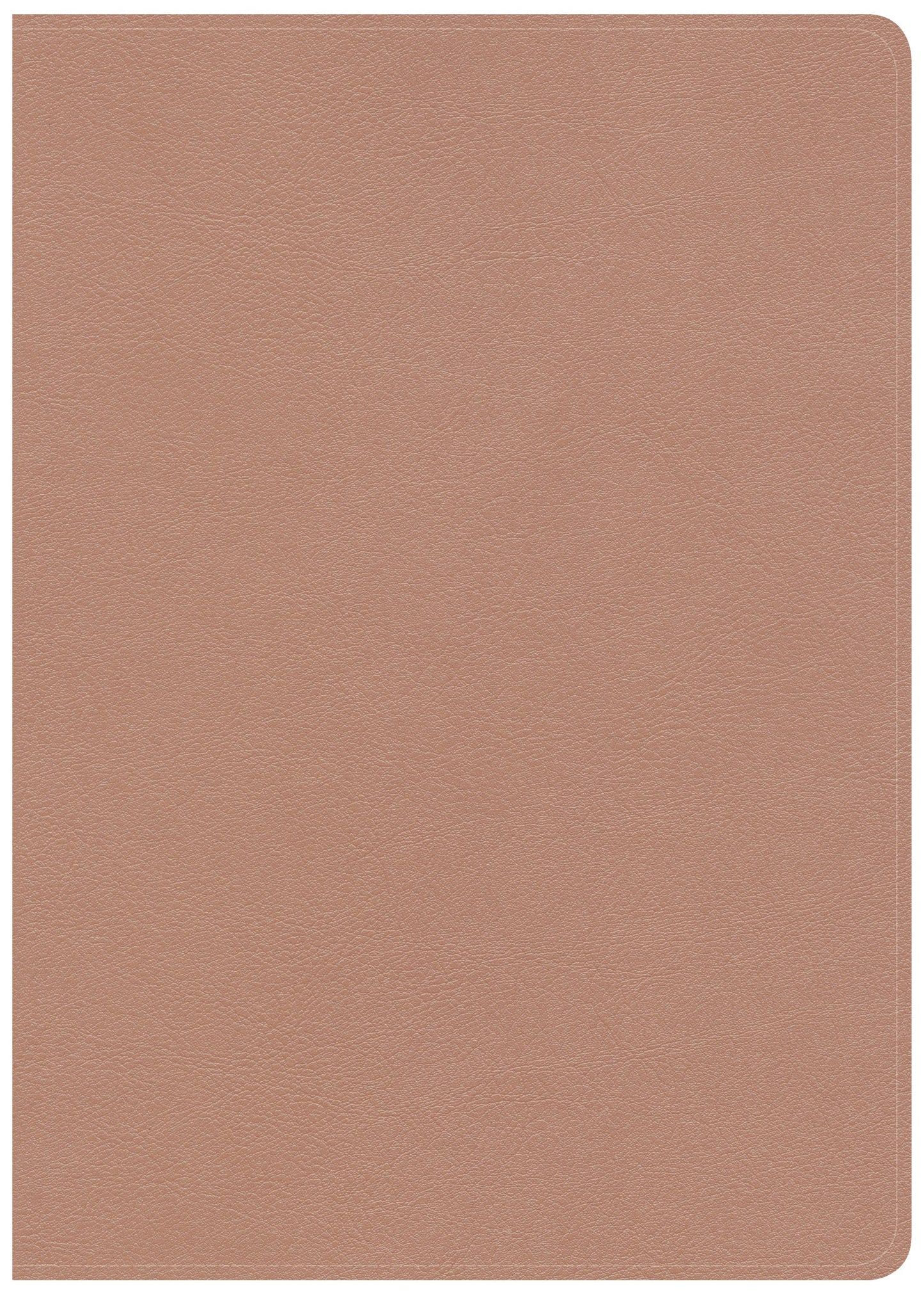 CSB She Reads Truth Bible, Rose Gold LeatherTouch, Indexed - Re-vived