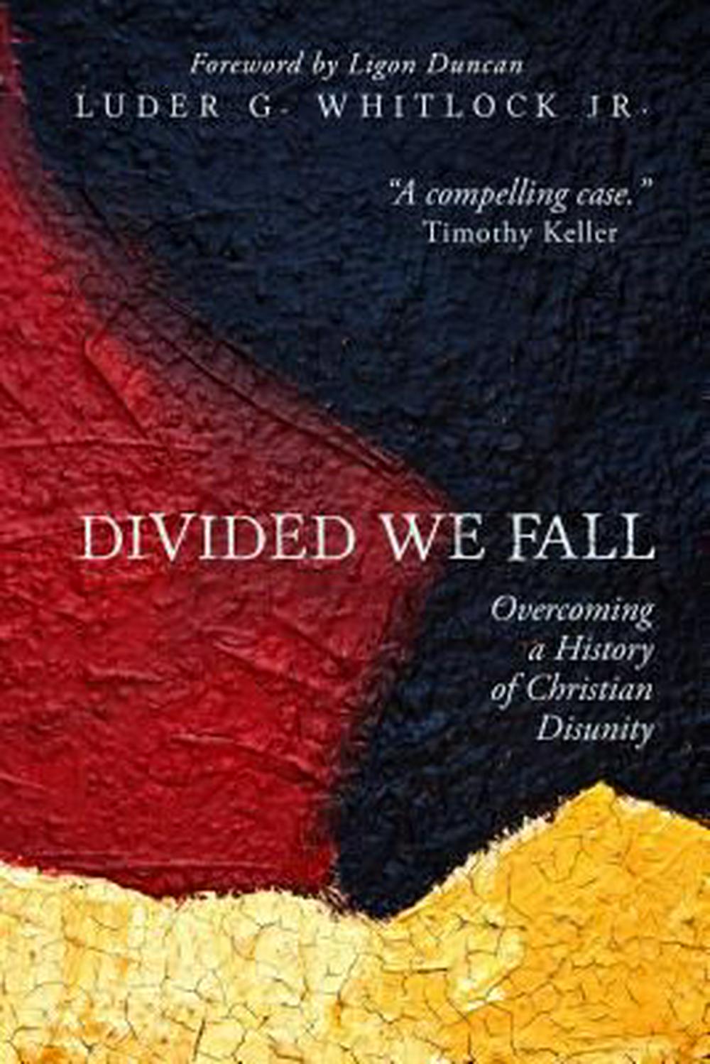 Divided We Fall - Re-vived