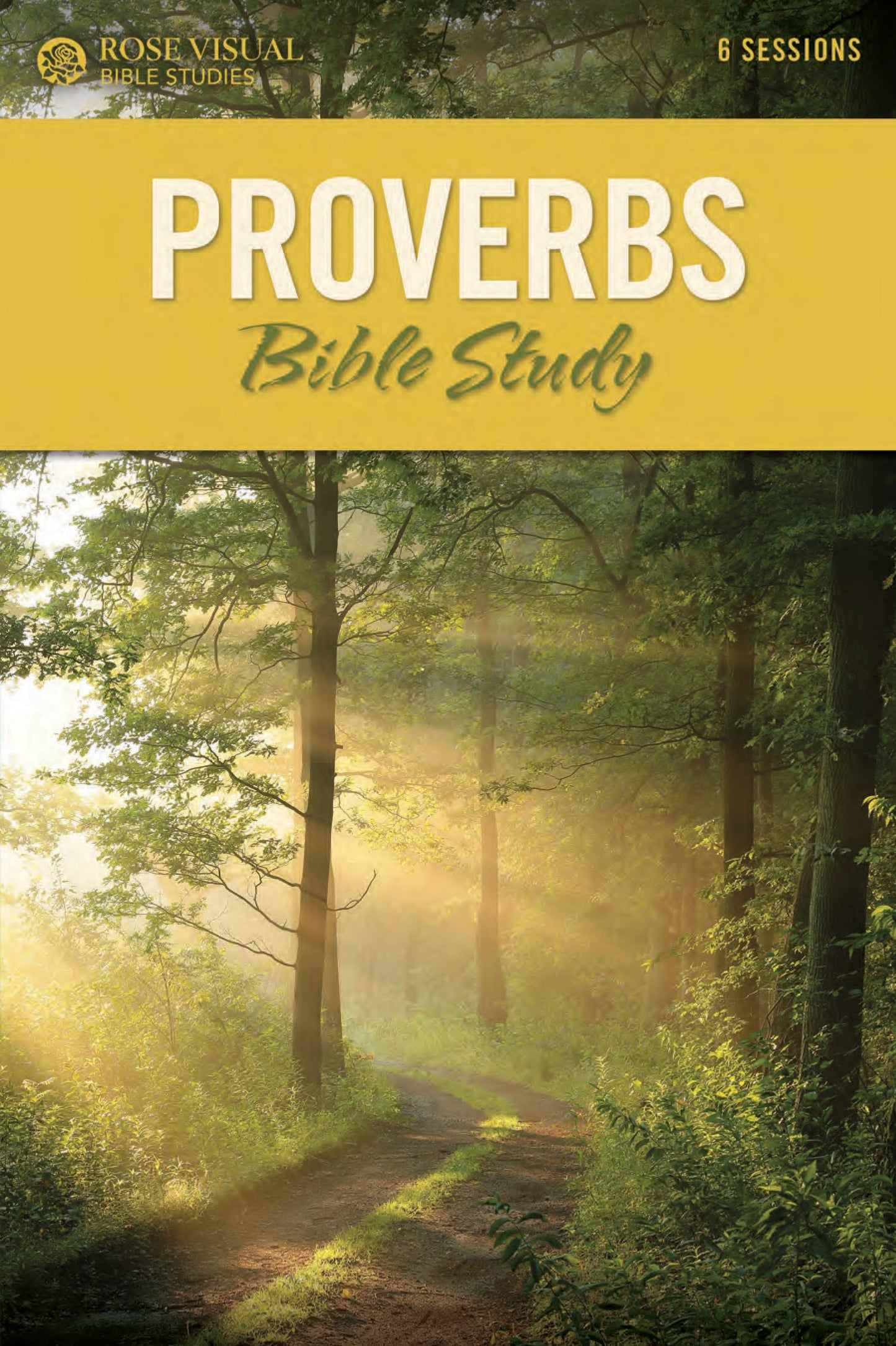 Rose Visual Bible Studies: Proverbs - Re-vived
