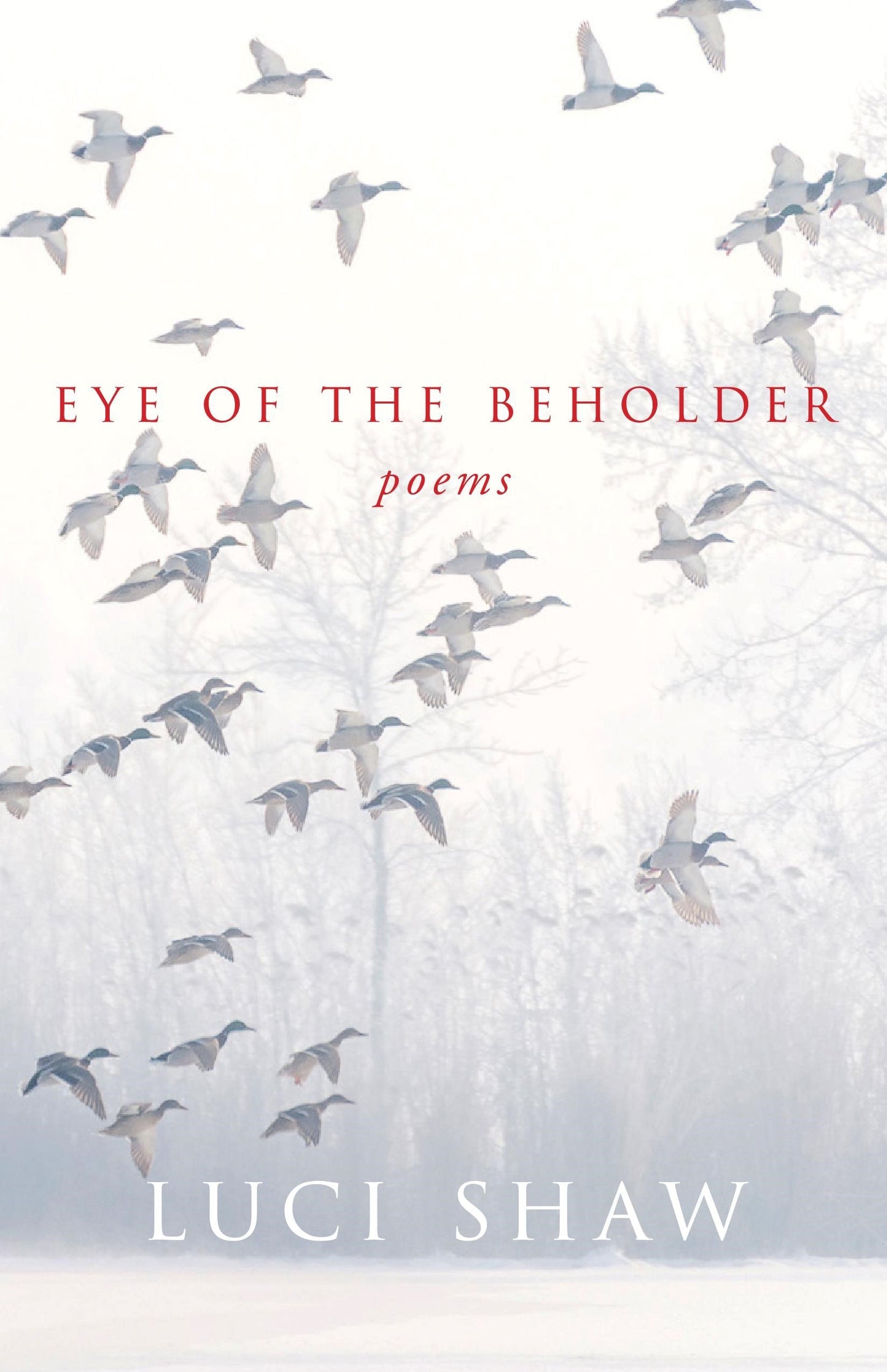 Eye Of The Beholder - Re-vived