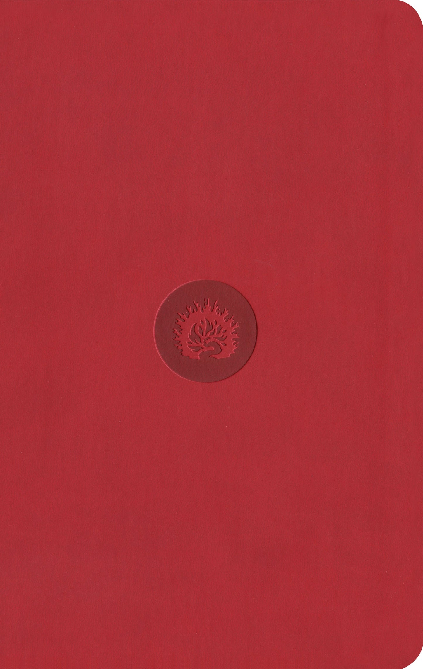 ESV Reformation Study Bible, Student Edition, Red - Re-vived