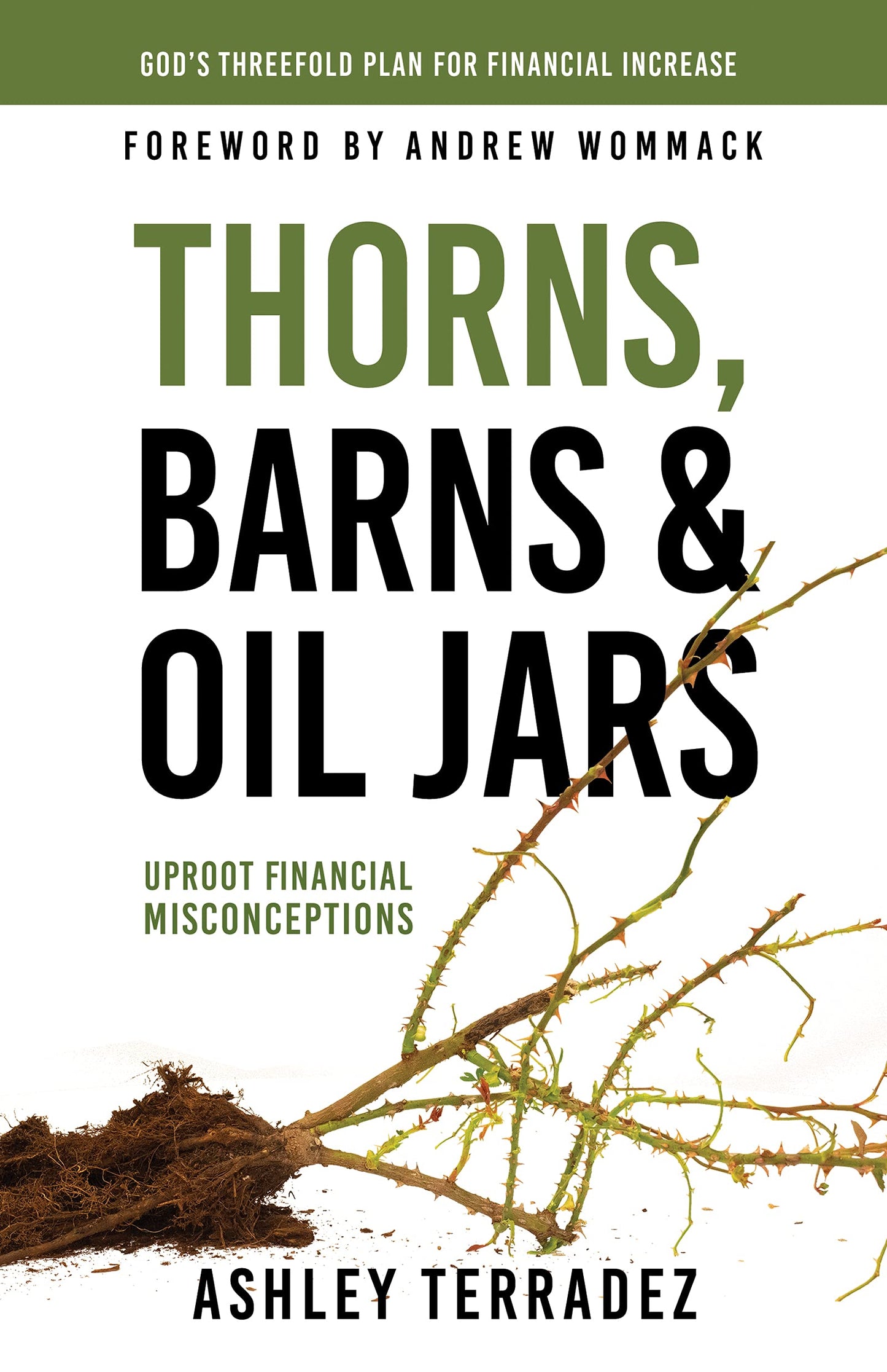Thorns, Barns, and Oil Jars - Re-vived