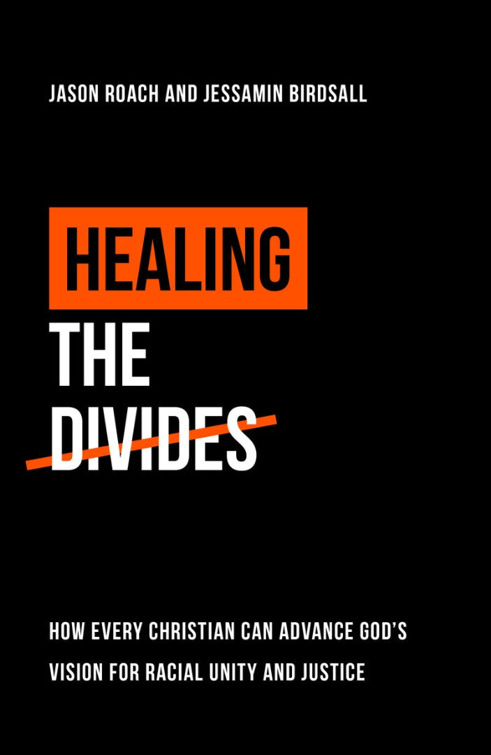 Healing the Divides - Re-vived