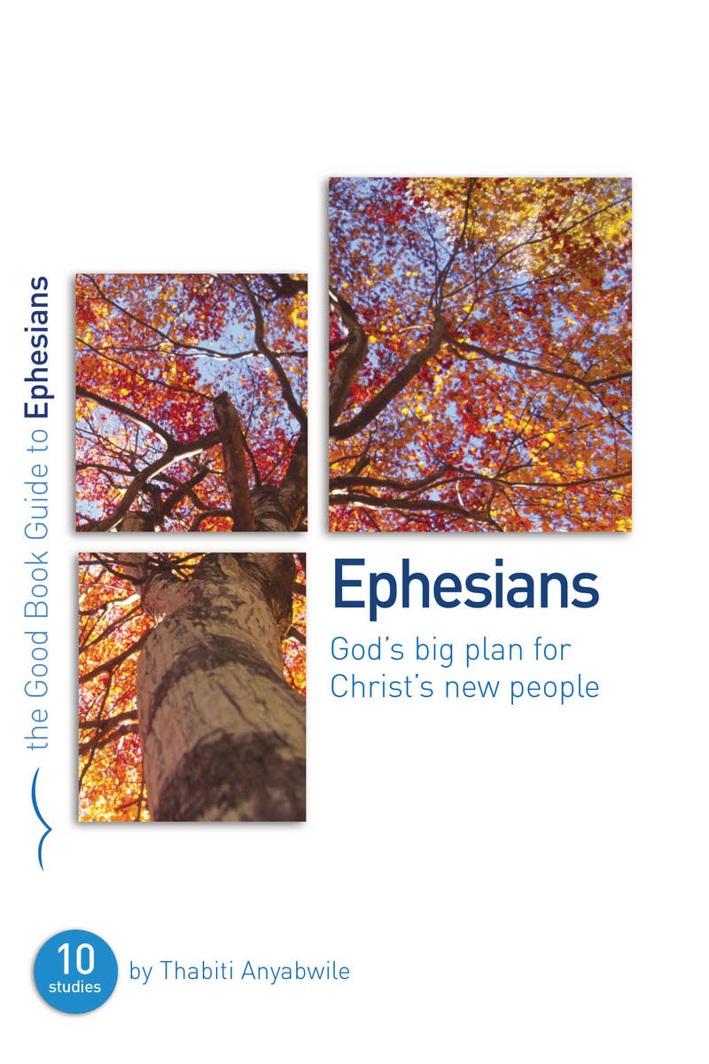 Ephesians: God's Big Plan - Re-vived