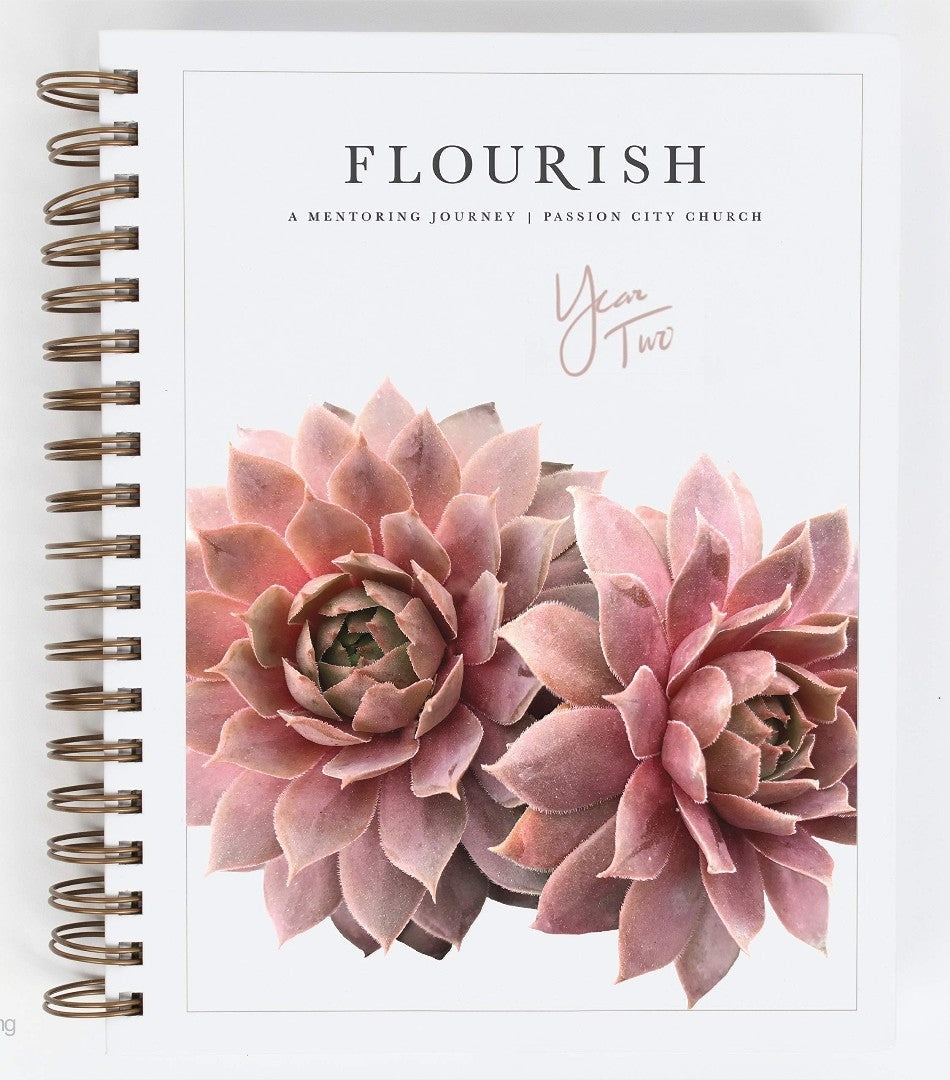 Flourish: A Mentoring Journey, Year Two - Re-vived