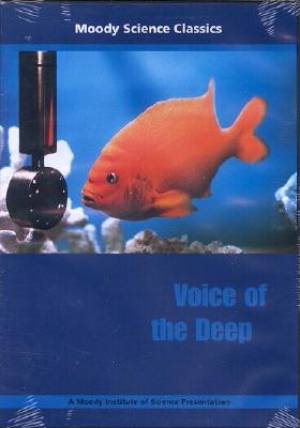 Voice of the Deep - Re-vived