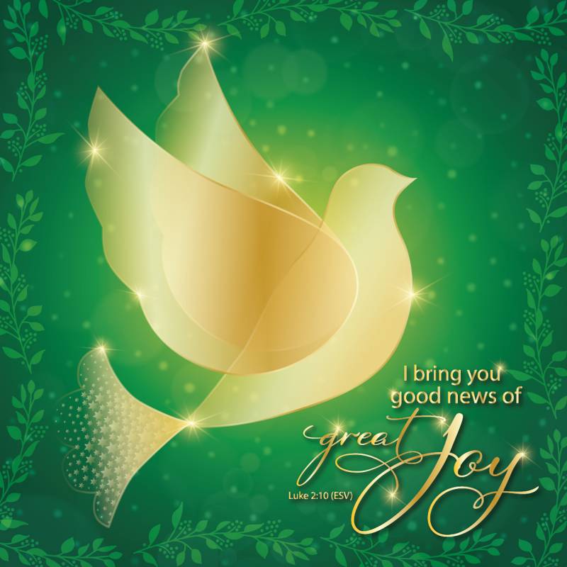 Green Dove Luxury Christmas Card (pack of 10) - Re-vived