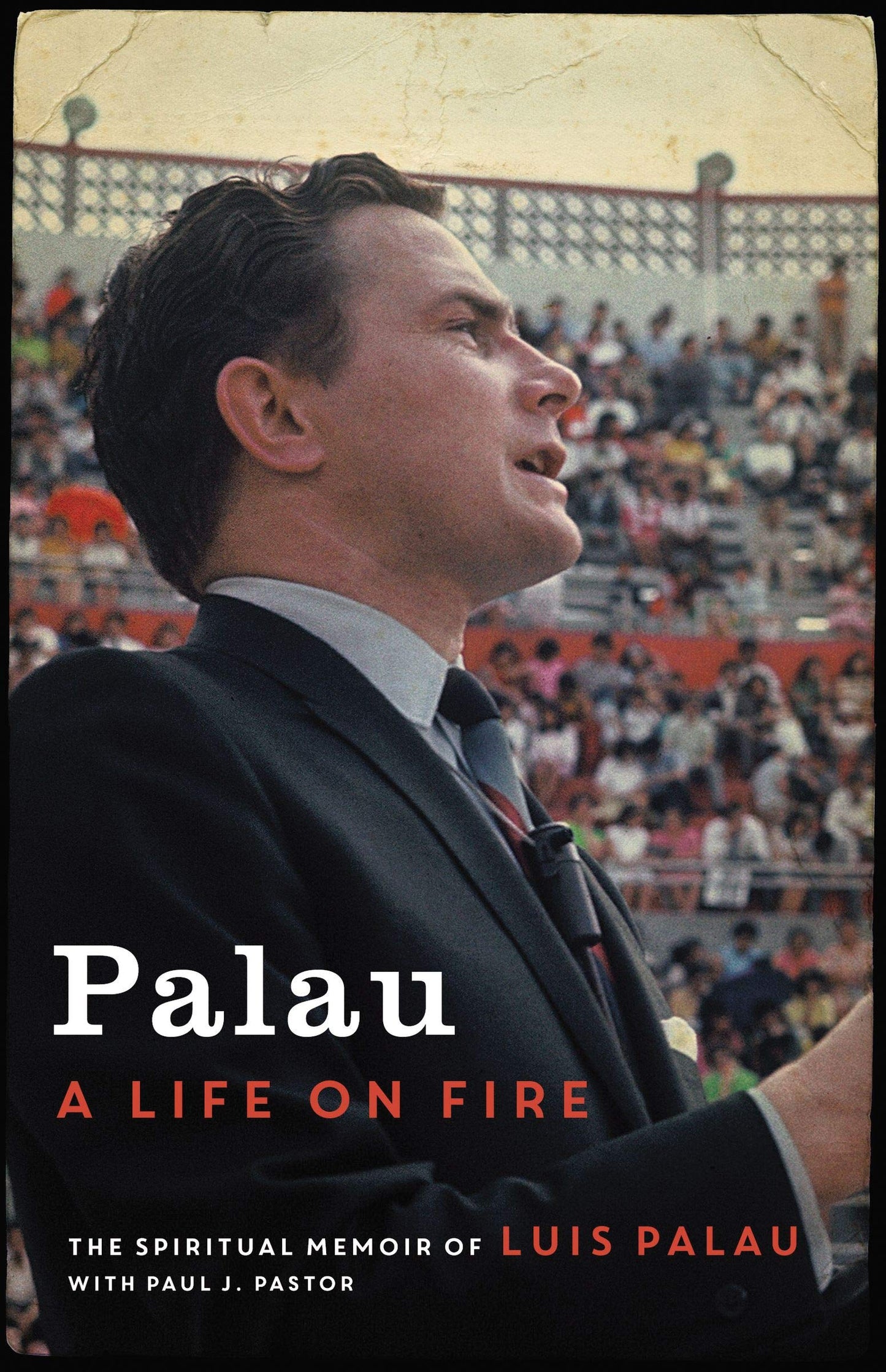 Palau - Re-vived