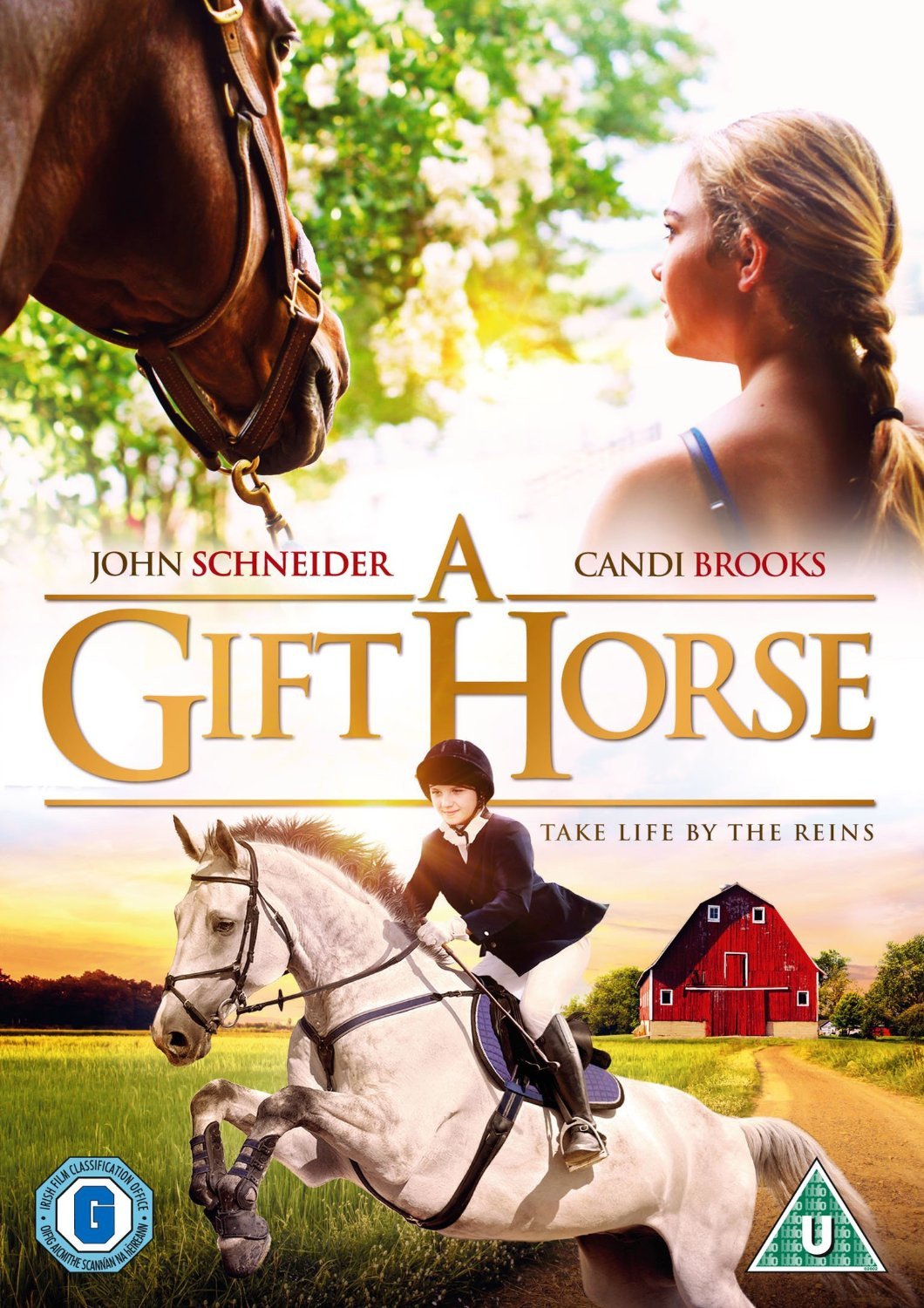 A Gift Horse DVD - Various Artists - Re-vived.com