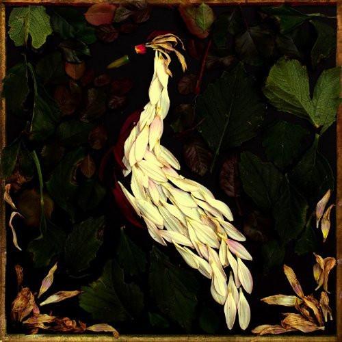Fortunate Fall - Audrey Assad - Re-vived.com