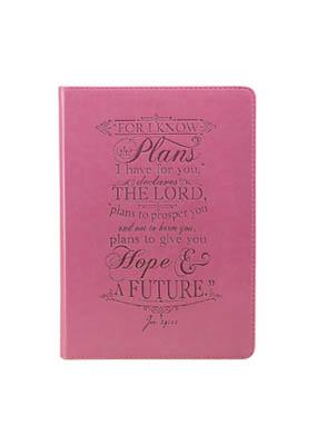 Lux Journal: Jer 29:11/Pink