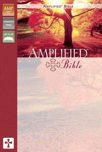 Amplified Bible - Zondervan - Re-vived.com
