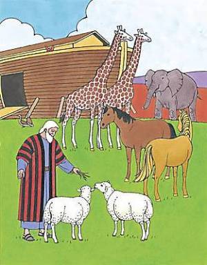 Puzzle: Noah Obeyed God