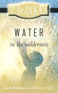 Water In The Wilderness Paperback Book - T D Jakes - Re-vived.com