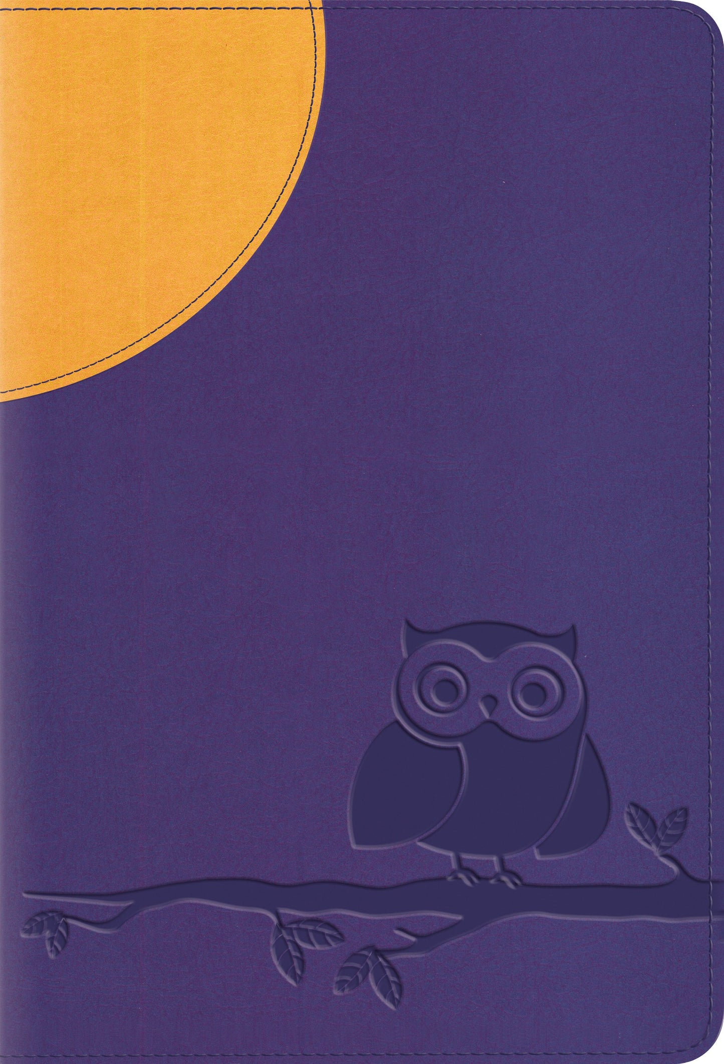 ESV: Large Print Compact Bible, TruTone, Moonlight Owl