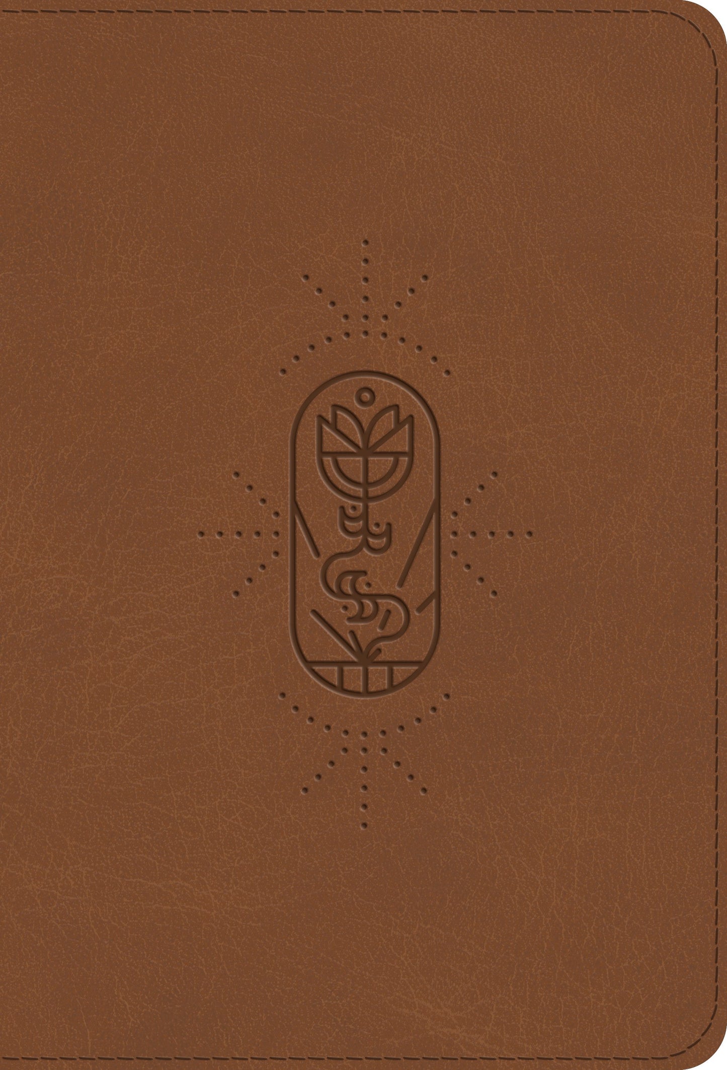ESV Kid's Bible, Compact, TruTone, The True Vine