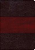NIV Rainbow Study Bible Indexed Saddle Brown LeatherTouch - N/A - Re-vived.com
