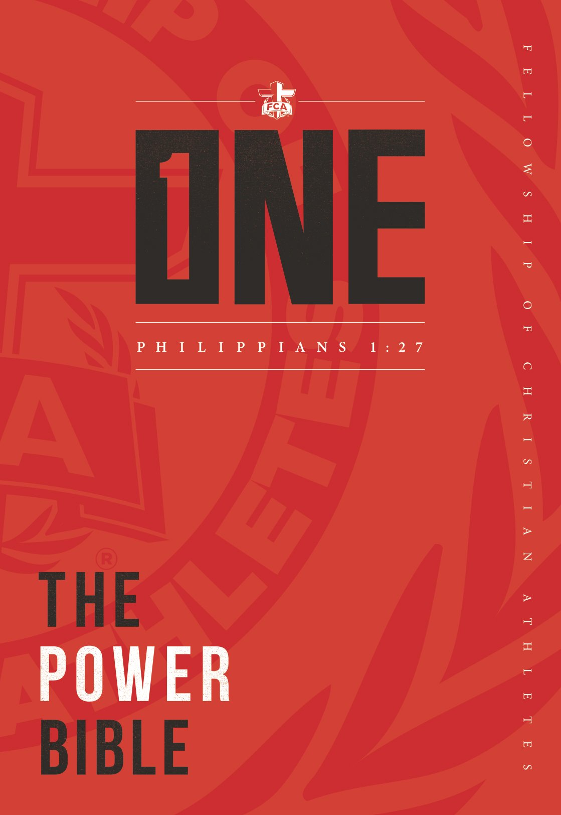 NLT: Power Bible, PB