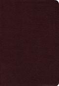 NIV Study Bible Burgundy Bonded Leather - N/A - Re-vived.com