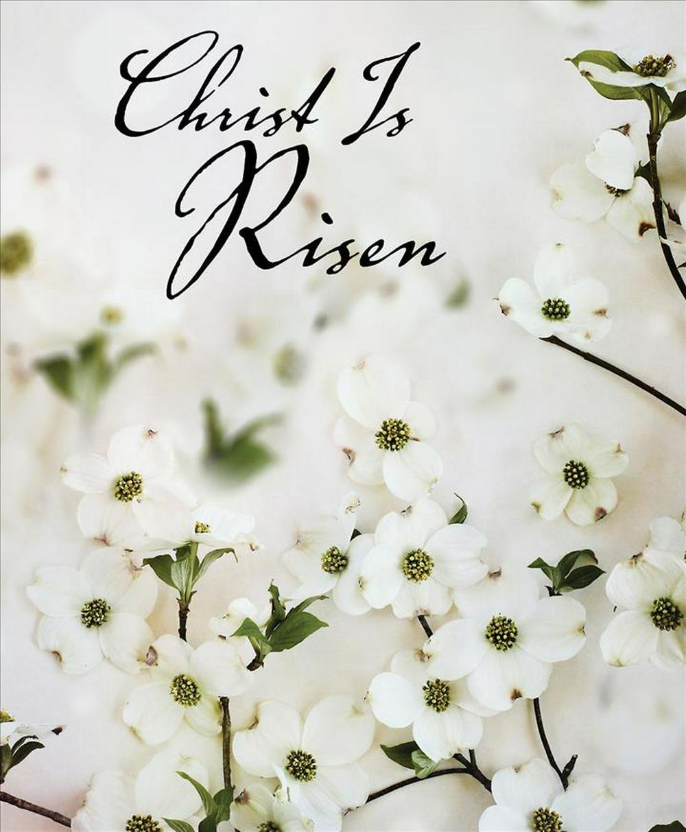 Christ Is Risen Dogwood Easter Bulletin, Large (Pkg of 50)