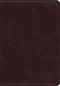 KJV Large Print Compact Bible Burgundy Bonded Leather - N/A - Re-vived.com