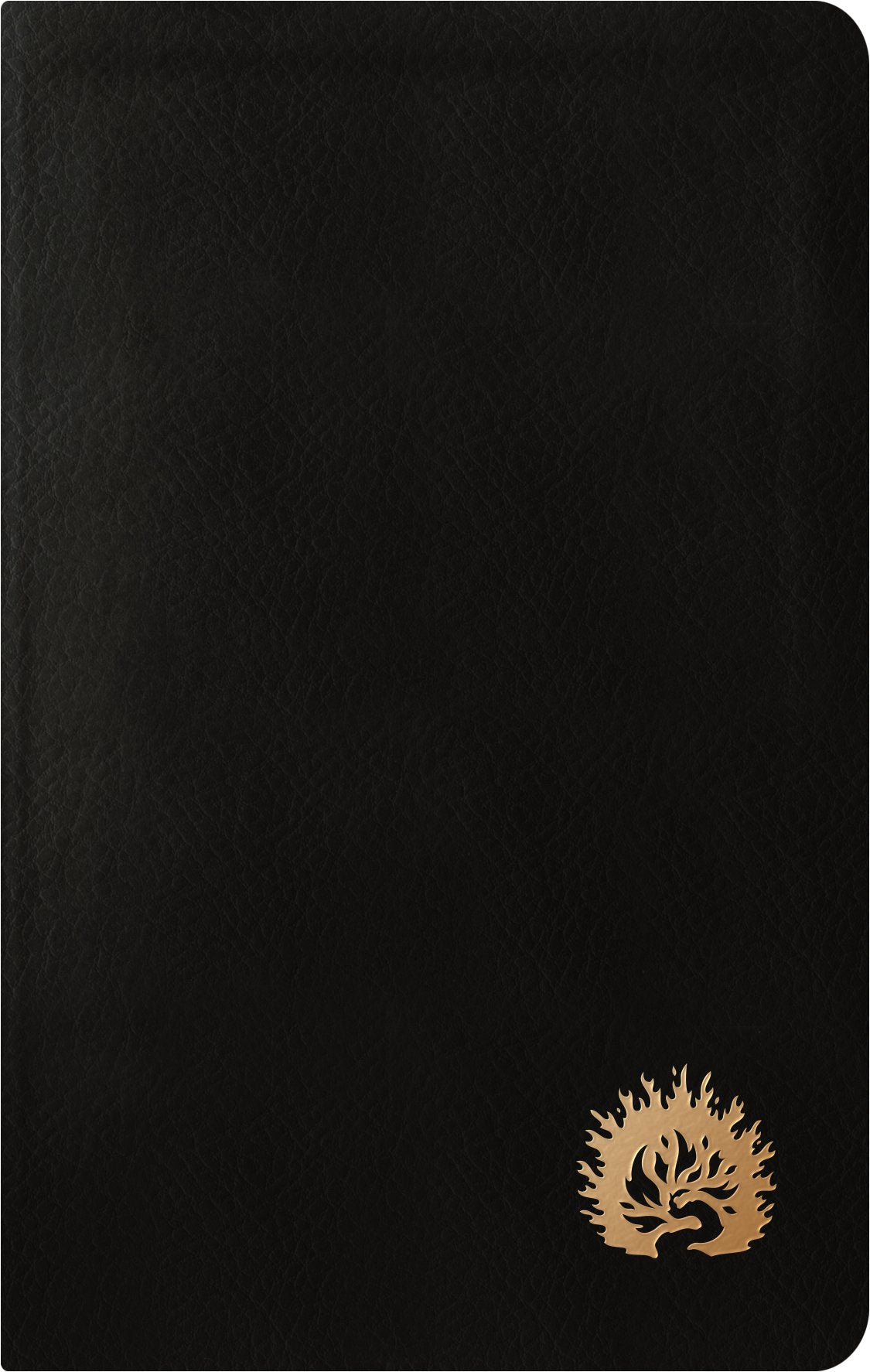 ESV Reformation Study Bible, Black Gift Edition
