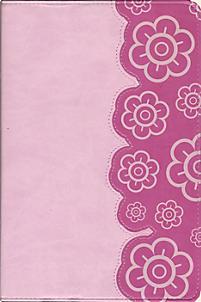 The Big Picture Interactive Bible, HCSB (Pink)