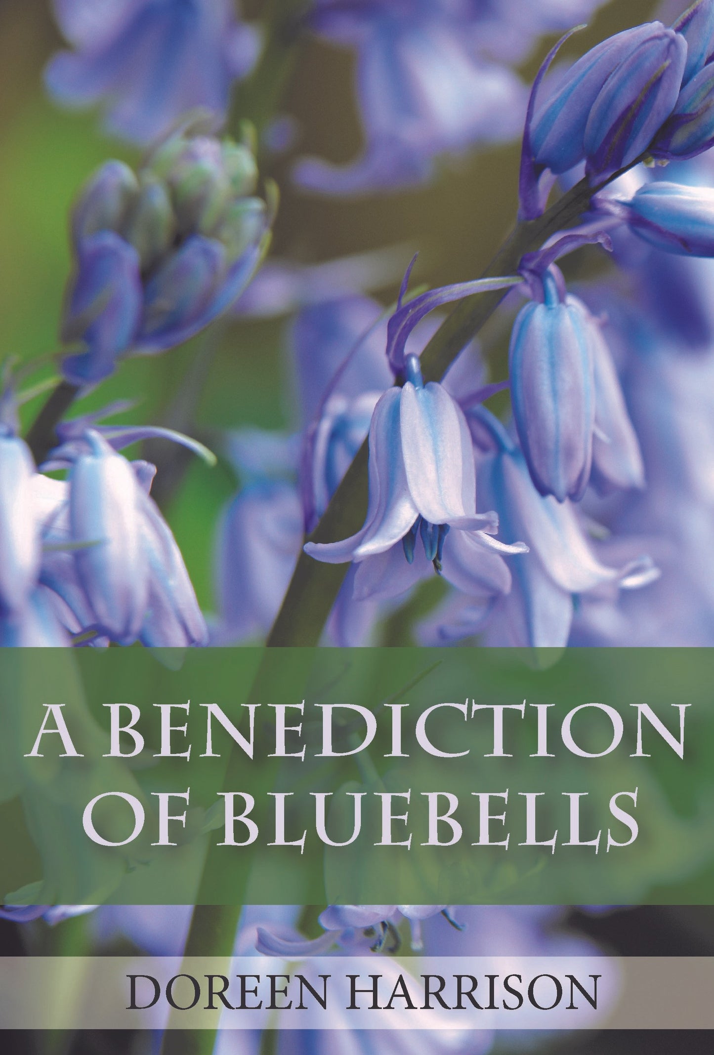 A Benediction of Bluebells