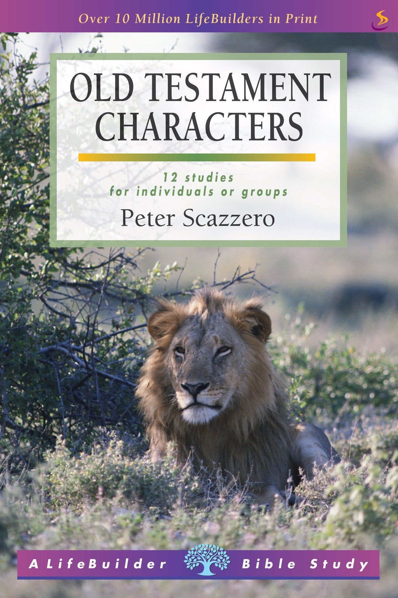 Old Testament Characters: 10 Studies For Individuals or Groups