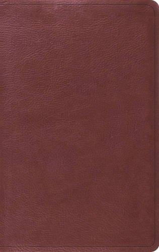ESV Value Thinline Bible (Trutone, Burgundy)