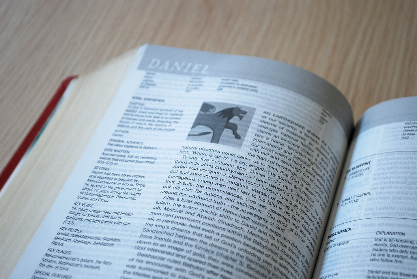 NIV Compact Life Application Study Bible (Anglicised)