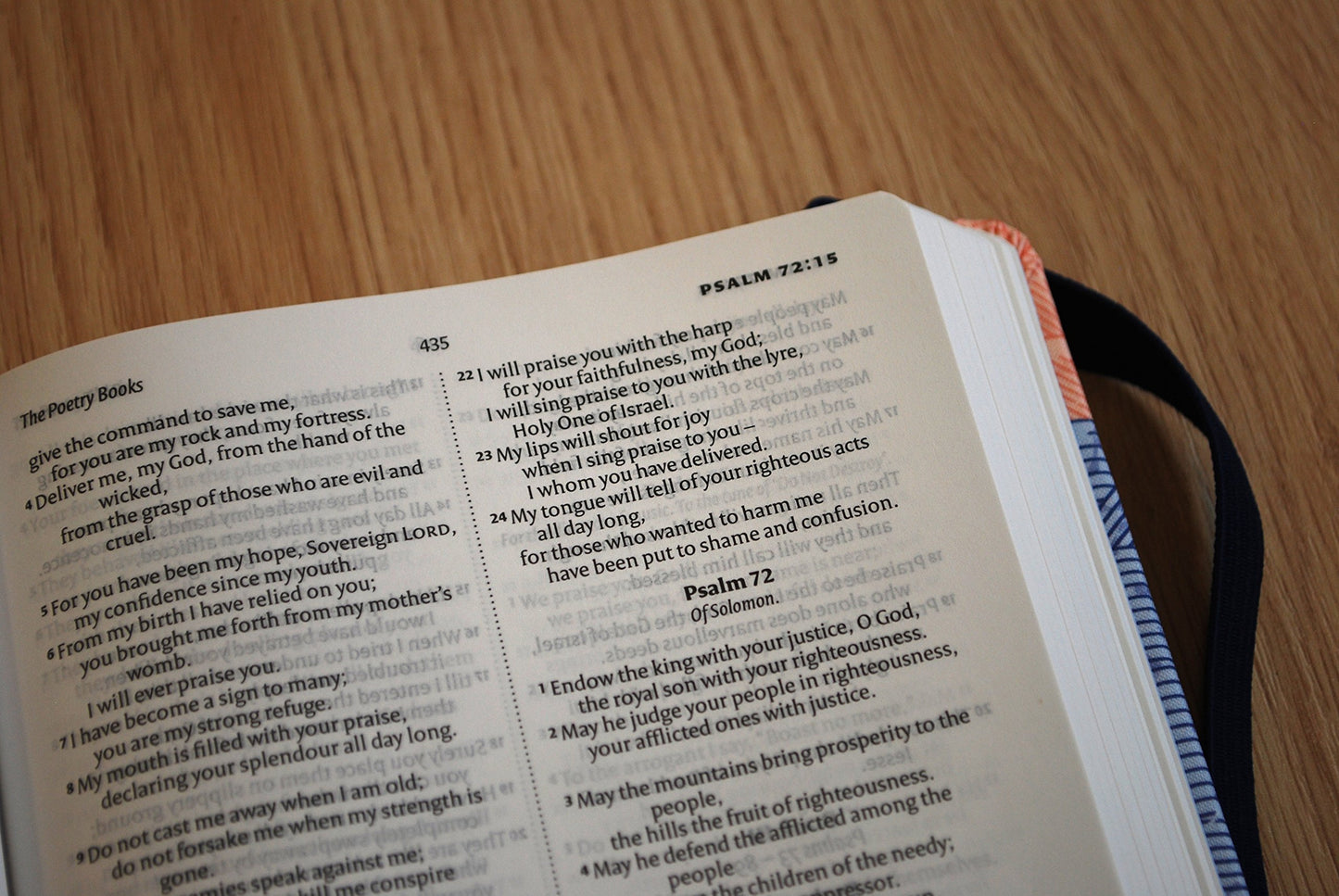 NIV Thinline Blue Waves Cloth Bible