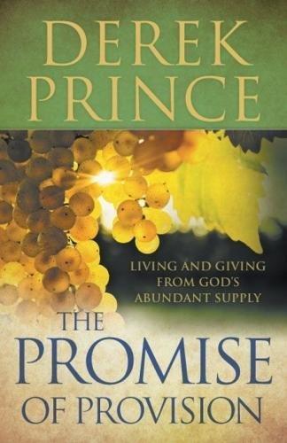 The Promise Of Provision Paperback Book