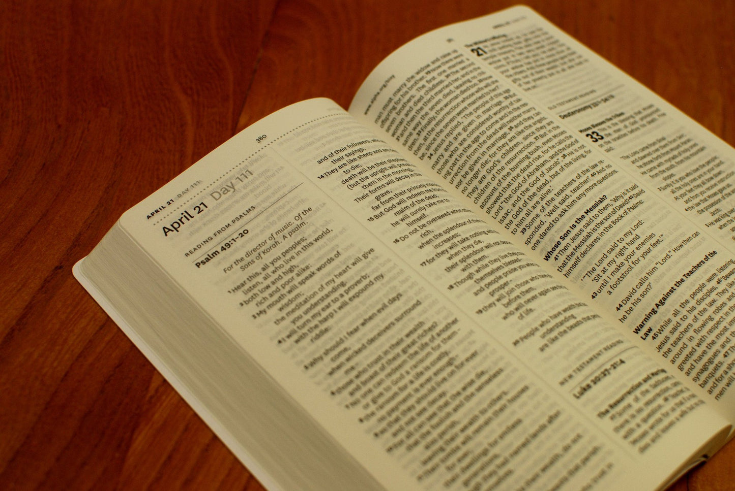 NIV Alpha Bible In One Year Paperback