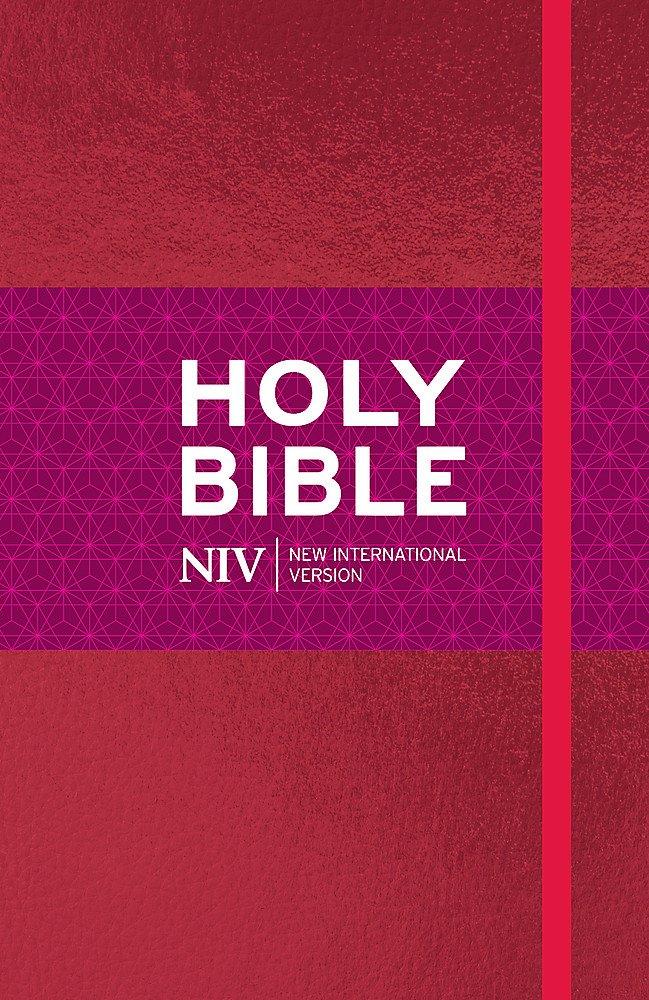 NIV Ruby Thinline Bible: Pink Shimmer Imitation Leather