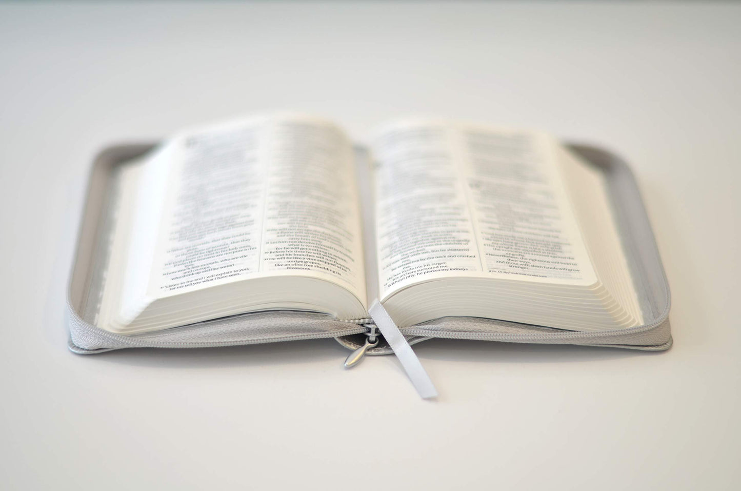 NIV Pocket Silver Soft-tone Bible with Zip