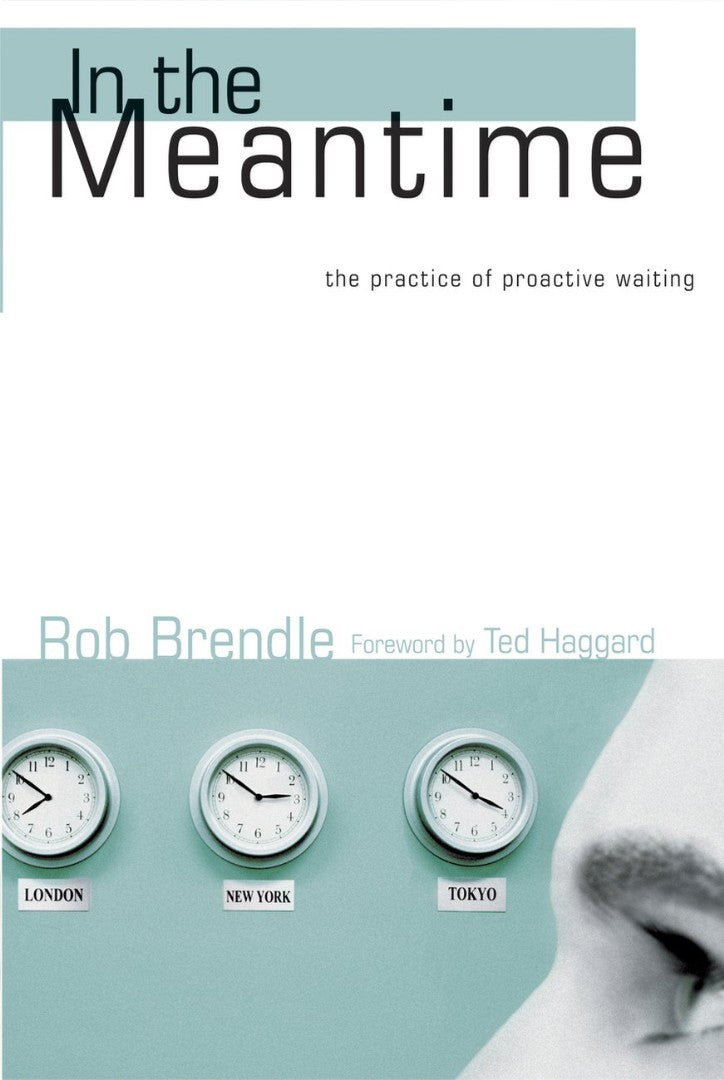 In The Meantime - Re-vived