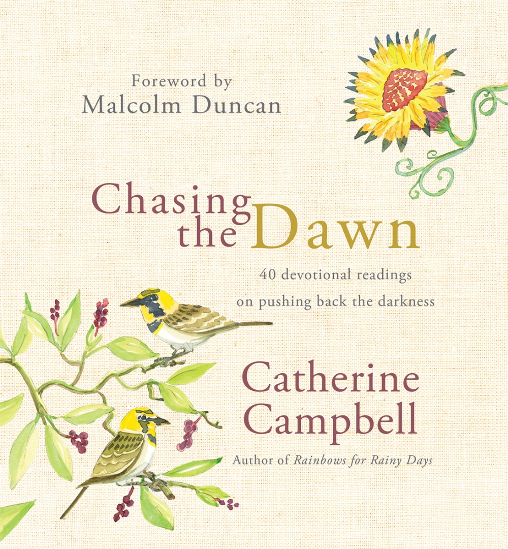 Chasing the Dawn - Re-vived